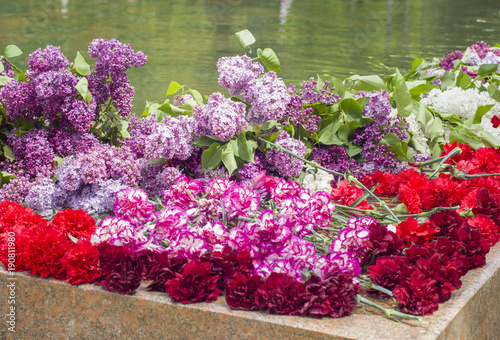 Fotografia red carnations and lilacs on a marble military memorial