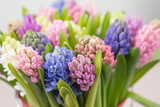 hyacinth closeup. Flower shop concept. Mixed color. Fresh spring flowers in refrigerator room for flowers. Bouquets on shelf, florist business.