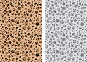 Seamless Micro Bone structure in vector design