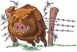 Pig or Wild Boar Crashing Through Fence Vector Cartoon
