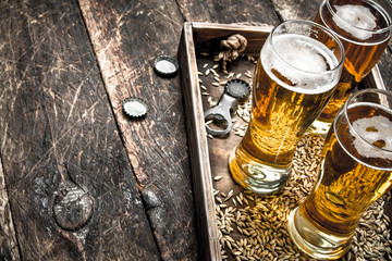 Wall Mural - Glasses with fresh beer on an old tray.