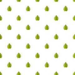 Poster - palm leaf pattern seamless in flat style for any design
