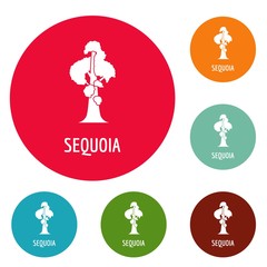 Poster - Sequoia icons circle set vector isolated on white background