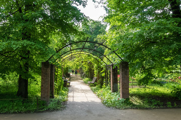 Naklejka na meble Pergola in the Botanical garden. On a Sunny summer day.