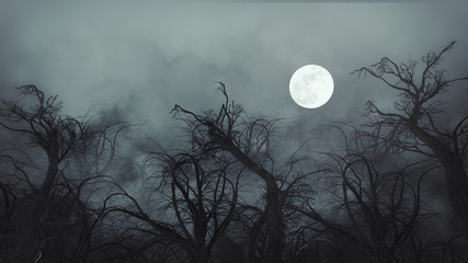 Wall Mural - Spooky Tree  Night with moon  Halloween background.