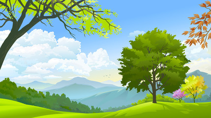 Wall Mural - an isolated tree in the middle of the meadows
