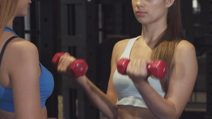 Poster - Cropped close up of a female fitness trainer helping her female client working out with dumbbells support helpful professionalism experience correcting occupation job service wellbeing health.