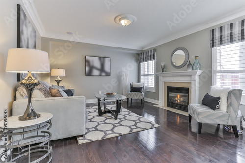 Fotografiet  Living Room Interior Design