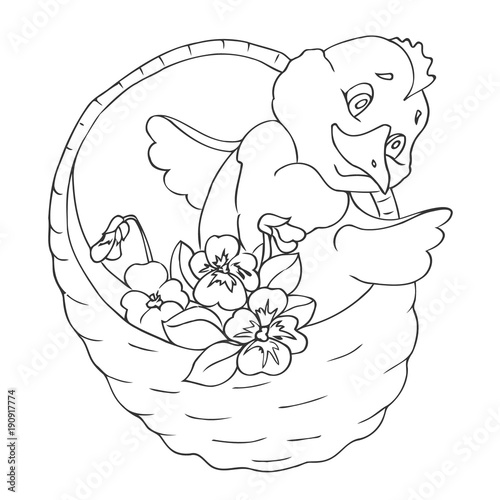 Chicken In Basket With Flowers Pansies The Sketch Marker Hand Drawing Vector Buy This Stock Vector And Explore Similar Vectors At Adobe Stock Adobe Stock Gray outlines bouquet of wild flowers in a basket. sketch marker hand drawing vector