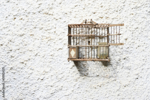 Fotografie, Obraz jaula de pájaros antigua, abierta, fondo blanco