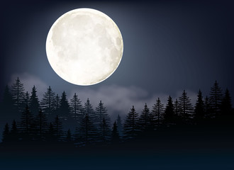 full moon vector illustration. a night sky background with trees and moonlight.
