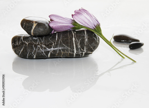 piedras y flores