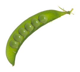 Poster - Sugar pea pod with peas isolated on white background