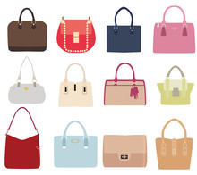 Vector Ladies Handbags