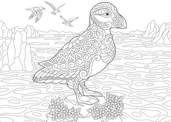 Poster - Coloring Page. Adult Coloring Book. Puffin, a hole-nesting auk (seabird) of northern and Arctic waters. Antistress freehand sketch drawing with doodle and zentangle elements.