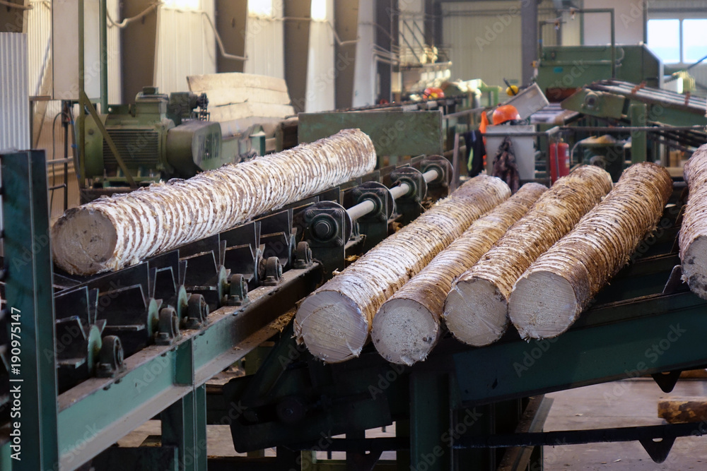 Process Of Timber Processing of timber at the sawmill Stock Photo | Adobe Stock