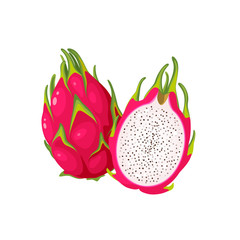 Summer tropical fruits for healthy lifestyle. Red dragon fruit, whole fruit and half. Vector illustration cartoon flat icon isolated on white.