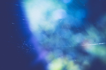 Water on Cobweb Retro