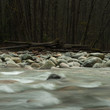 Granite and Water, Lynn Creek