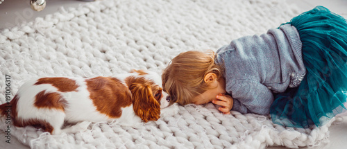 Fotografía Little child plays with a Cavalier King Charles Spaniel on a soft blanket