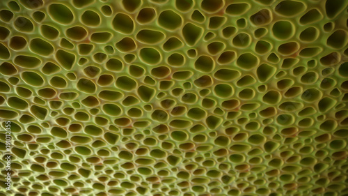 Abstract Green Futuristic Surface With Plant Cells