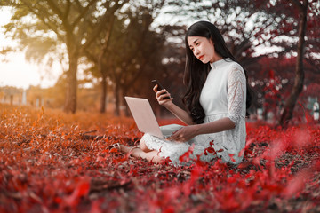 Sticker - beautiful woman using laptop and mobile phone in the park