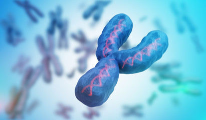 Male gender Y chromosome. Genetics concept. 3D rendered illustration.