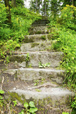 Dzika przyroda - kamienne schody