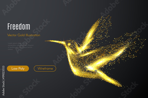 Low poly illustration of the hummingbird with a golden dust effect Poster Mural XXL