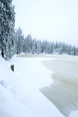 Wall Mural - Mummelsee im Winter