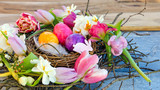 Fototapeta Dmuchawce - Happy Easter: nest with Easter eggs, feathers, tulips and daffodils:)
