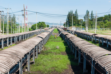 Wall Mural - Outdoor incline large conveyor with rubber belt conveyor for transportation line for processing the coal in the coal mine.