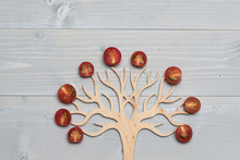 Tomatoes Cut In Half On Tree On Grey Wooden Background