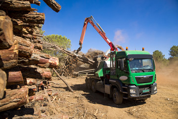 Industrial machinery for transforming biomass.