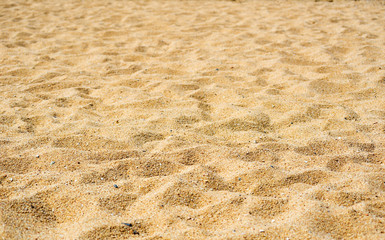 Canvas Print - Beach sand