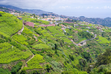 Poster - Hills covered by clouds, Madeira island - Portugal