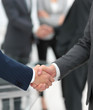 © ASDF - Two businessmen shaking hands with colleagues  on background.