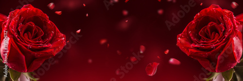 Red roses. Bouquet of red roses. Valentines Day, wedding day background. Vale...