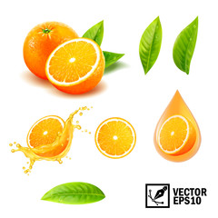 3d realistic vector set of elements ( whole orange, sliced orange, splash orange juice, drop orange 