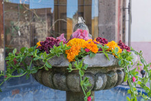 Close-up Shot Of A Water Fountain, Filled With Red, Orange And Pink Flowers, And Green Leafy Vines, With Blue Tiles And A Glass Window In The Background 