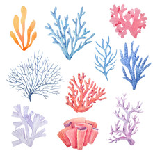 Watercolor Coral Set