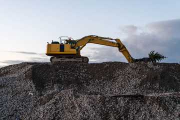 heavy machine excavator bagger on top of gravel construction site holding a green christmas tree