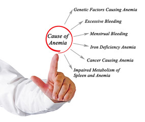 Wall Mural - Causes of Anemia