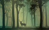 Fototapeta Konie - Deciduous forest with birds and deer