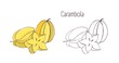 Colorful and monochrome outline drawings of carambola or starfruit