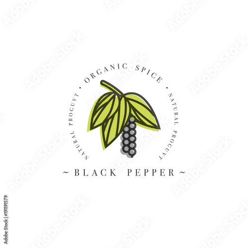 Download Packaging Design Template Logo And Emblem Herb And Spice Blossoming Black Pepper With Seeds Logo In Trendy Linear Style Stock Vector Adobe Stock