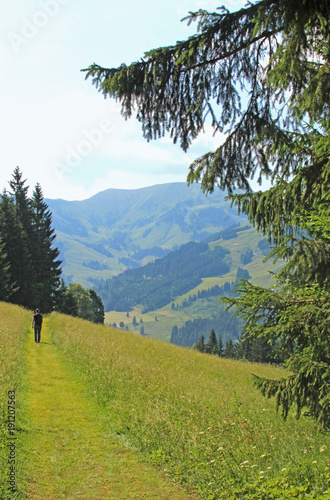 Fotografie, Obraz hiker on a path through meadows in the Alpes near Salzburg, Austria