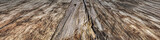 Fototapeta  - High Resolution Old Weathered Battered Cracked Knotted Pinewood Planking Backdrop