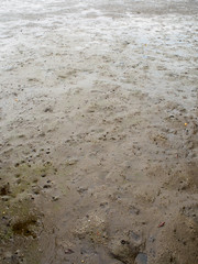 Wall Mural - Wide angle aerial view of the thick silt, wet, and hole studded beach of the bay and sea near a mangrove forest. Chanthaburi, Thailand.