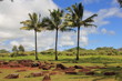 Kukaniloko Birthstones Oahu Hawaii USA